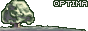 OPTIMA
